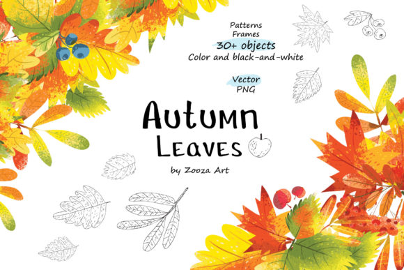 Discover the Beauty of Autumn Leaves Objects, Patterns, and Frames
